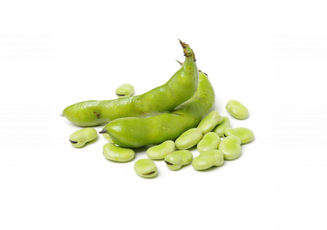 BROAD BEANS FINE