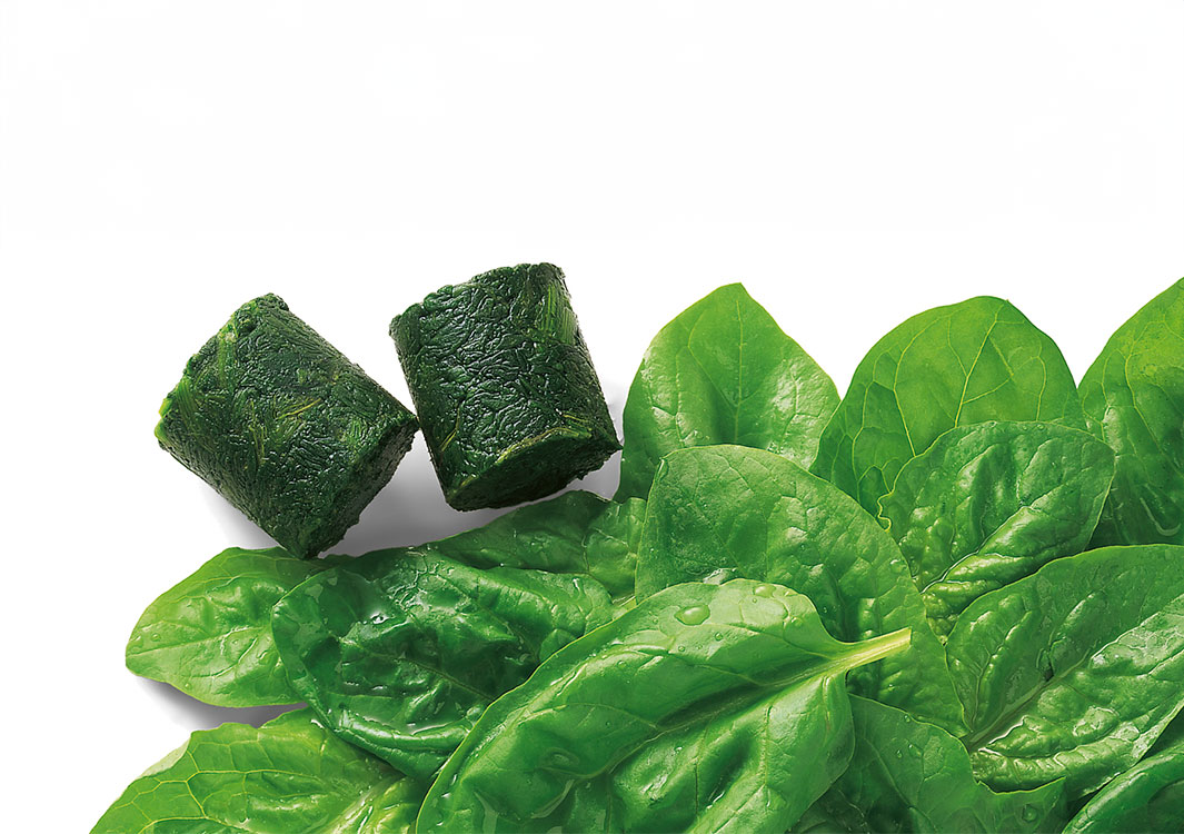 LEAF SPINACH BLOCK