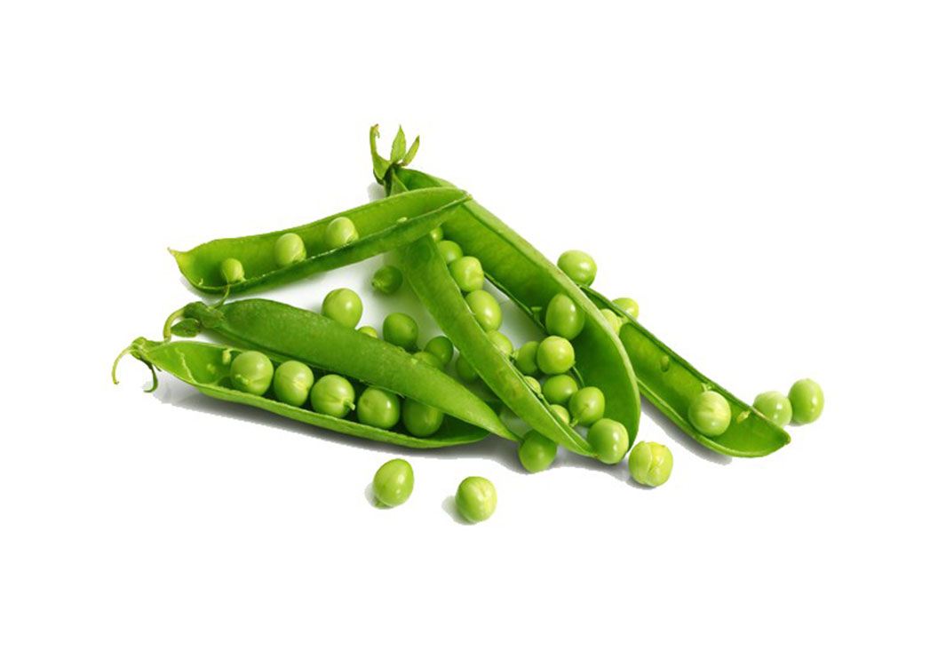PETIT POIS